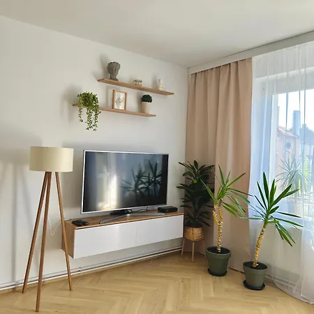 Zielone Serce Miasta *