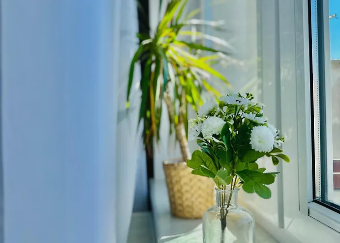 Zielone Serce Miasta * Mragowo